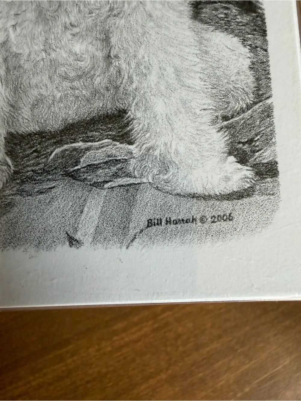 Poodle Dog Note Cards (8) Fine Art